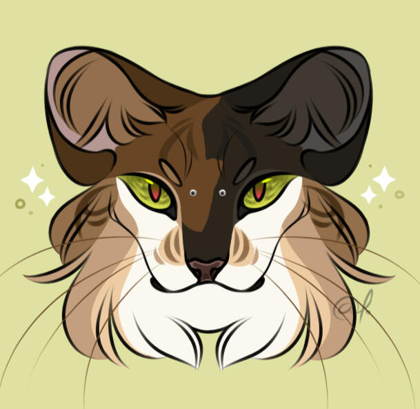 Flat Headshot - $7